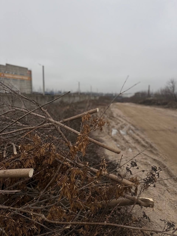 Во Владимире новая улица соединит Гастелло и Куйбышева