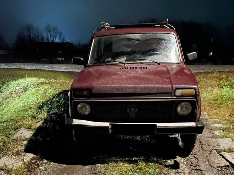 Вечернее ДТП в Петровском: пешеход попала в больницу