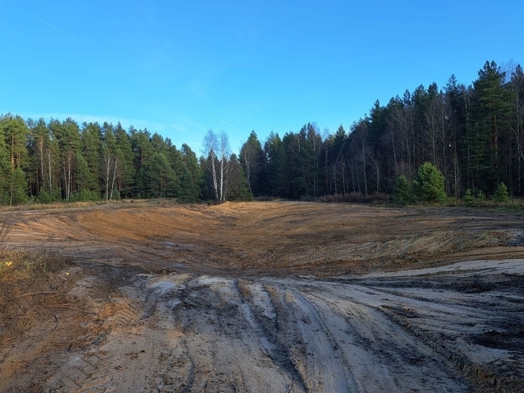 В Гусь-Хрустальном районе прокурора помогла ликвидировать свалку