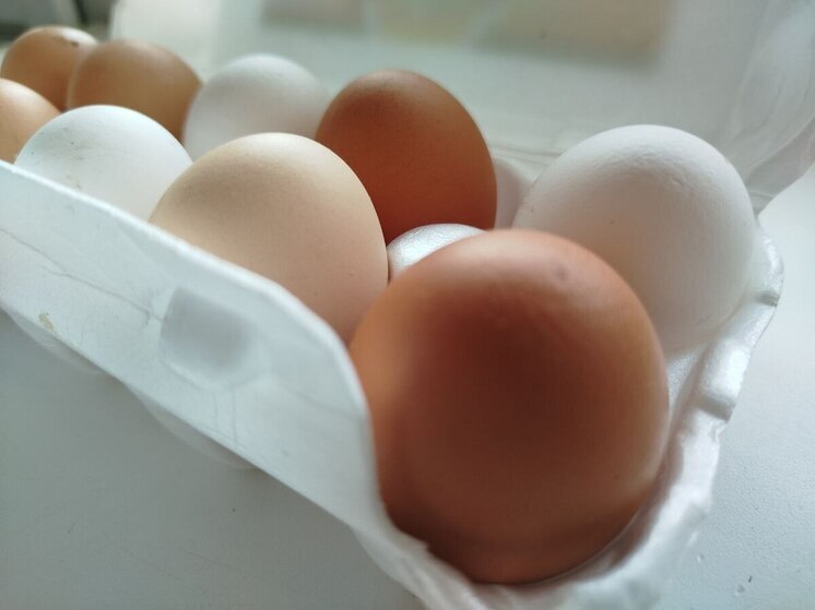 Ленобласть заняла первое место по производству яиц в России