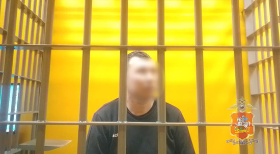 В Котельниках сотрудник полиции задержал мужчину, который нанес смертельное ножевое ранение собаке