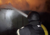 «Принуждение Украины» к миру через ежедневные болезненные удары по энергосистеме и военным объектам продолжается