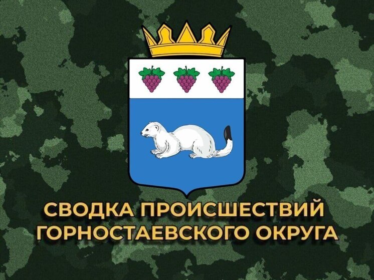 За сутки ВСУ 15 раз обстреляли Горностаевский муниципальный округ