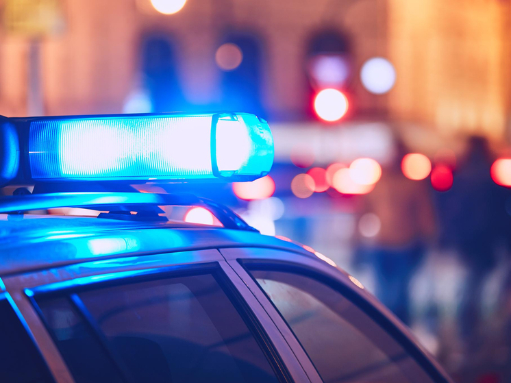 Германия — Выстрелы у закусочной: вооружен и опасен