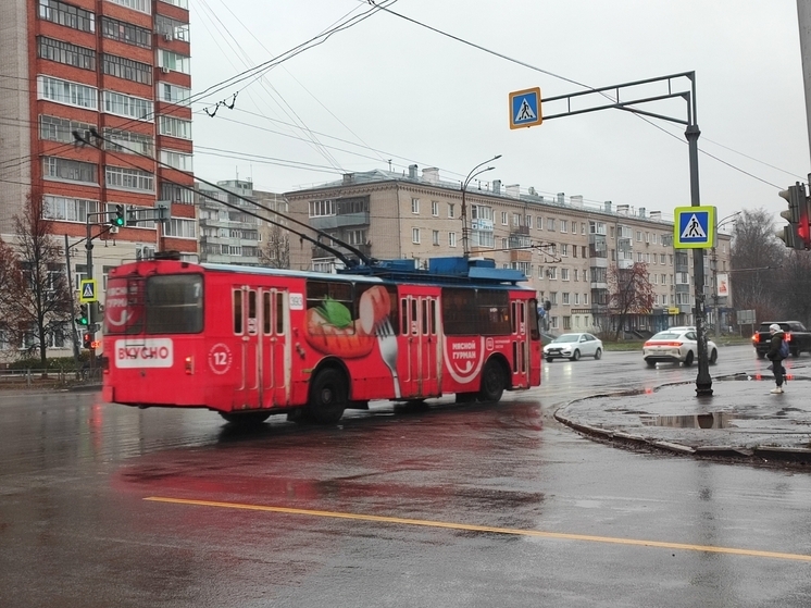 В Иванове из-за непогоды экстренно встали все троллейбусы