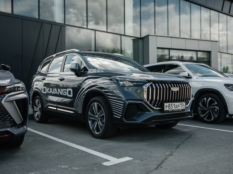 Автомобиль для семейных новогодних поездок и не только