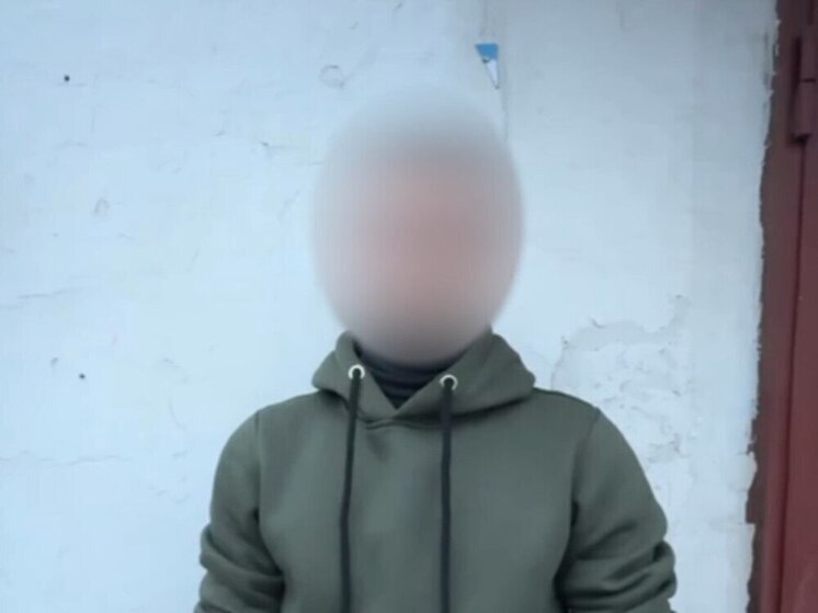 Найден полицией: мичуринец извинился за кражу камеры из парка