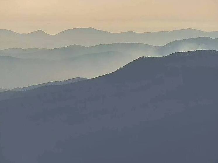 Лесной пожар под Геленджиком локализован на площади около 10 гектаров