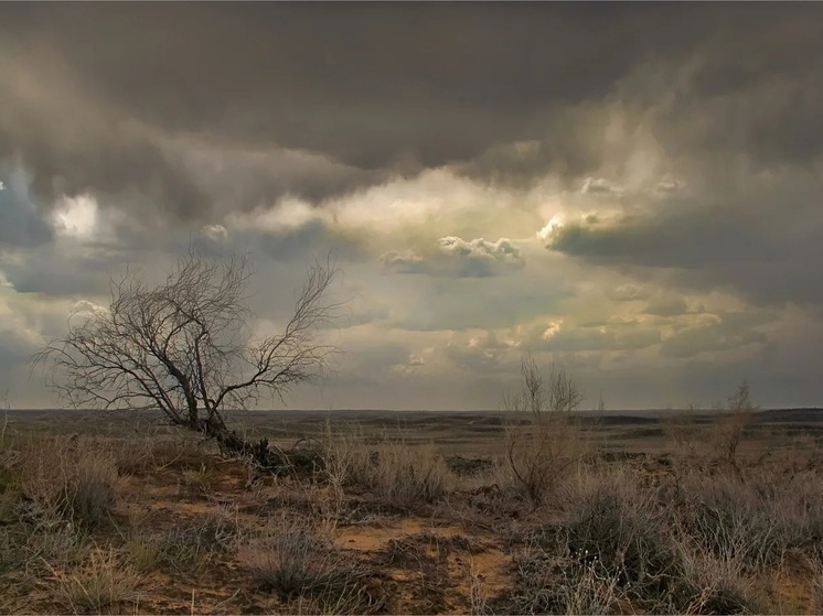 Приметы завтра расскажут о погоде в Калмыкии