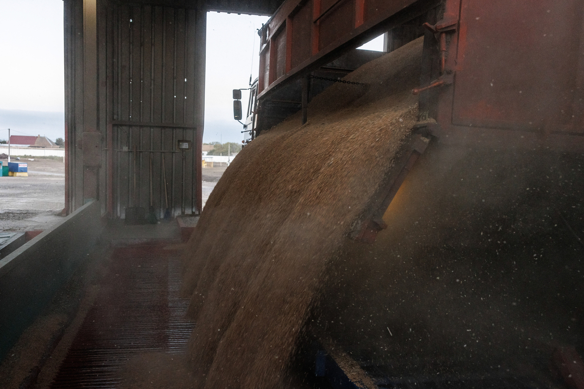 Двое рабочих погибли при очистке зерноочистительной машины в Башкирии