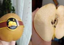 На прилавках архангельских магазинов появились крупноплодные груши Синго, достигающие размеров небольшой дыни