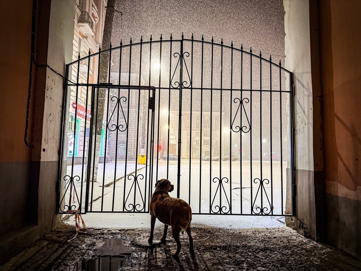 Синоптики рассказали, когда снегопады превратятся в дожди