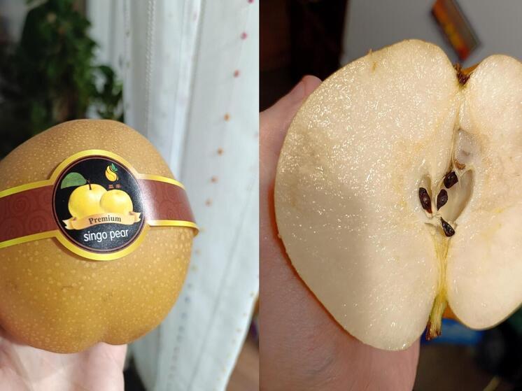 На прилавках архангельских магазинов появились крупноплодные груши Синго, достигающие размеров небольшой дыни