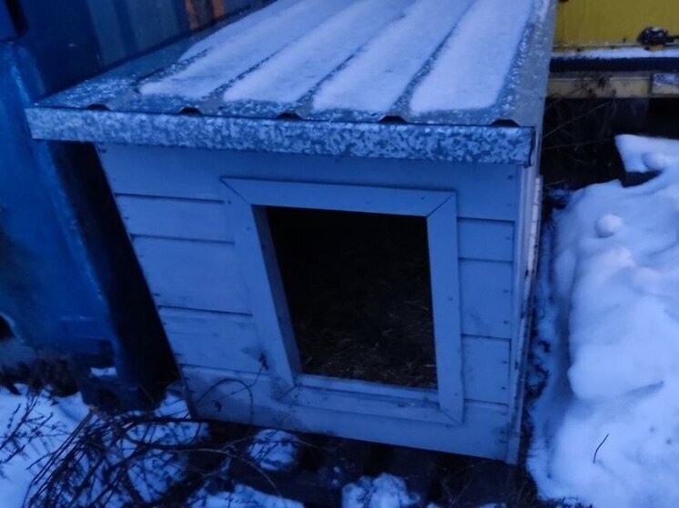 Петербурженка отсудила 100 тысяч рублей компенсации за покусавшего её алабая