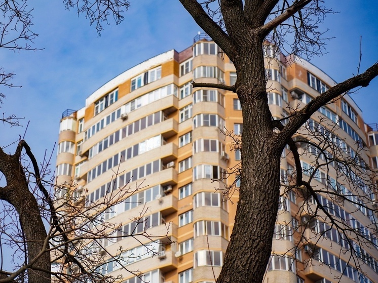  В Тульской области рост цен на жилье может вдвое превысить инфляцию