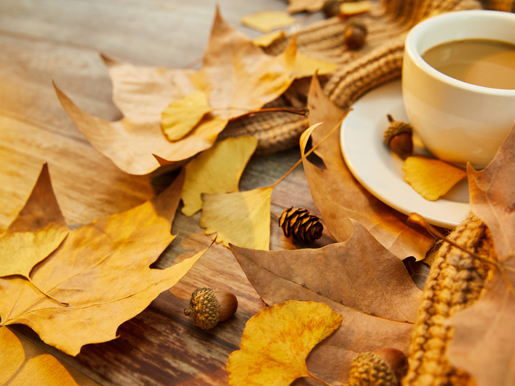 14 градусов тепла прогнозируют в Херсонской области 25 ноября