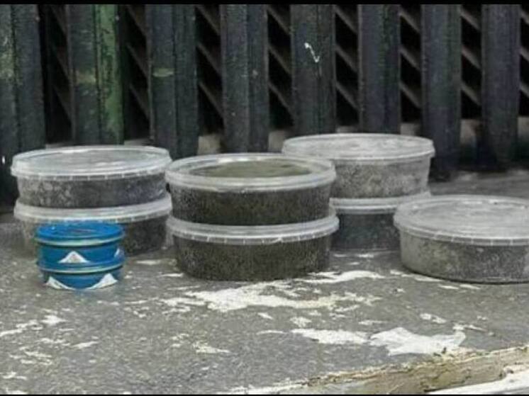 За незаконную продажу икры краснокнижной рыбы петербуржцы получили «условку»