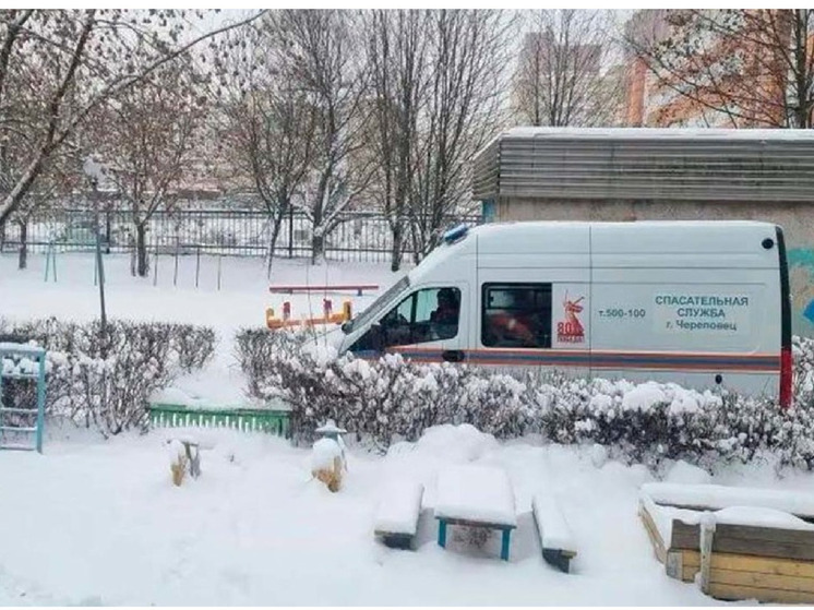 Лиса навестила два детских сада в Череповце