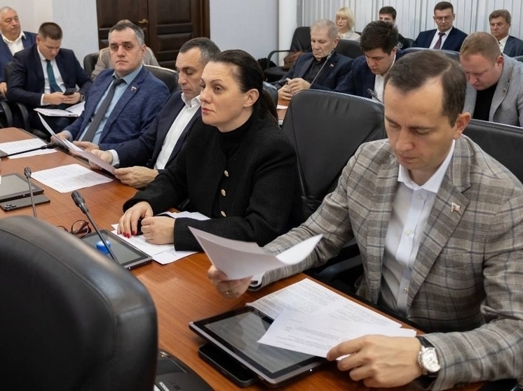 Депутат Гвоздева: Программа наказов избирателей дает возможность депутатам выполнить пожелания горожан