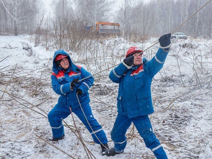 В Новосибирской области произошли массовые отключения света из-за обрыва линий электропередачи