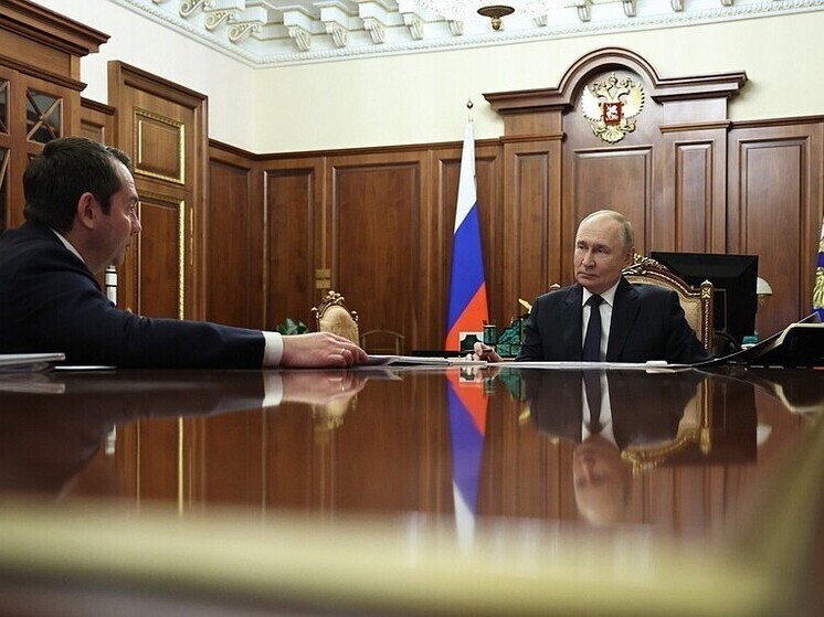 Путин поддержал комплексный проект Мурманской области по развитию Арктики