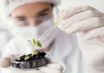 Компания «Логика молока», российский производитель молочных продуктов, детского питания и напитков на растительной основе, стала официальным партнером Всероссийской олимпиады по агрогенетике «Иннагрика»