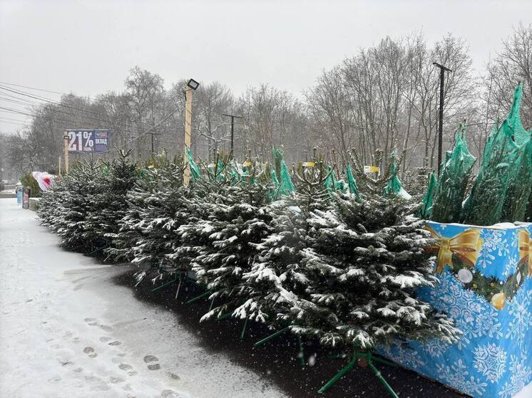 В Пензе откроется 78 ёлочных базаров: список адресов