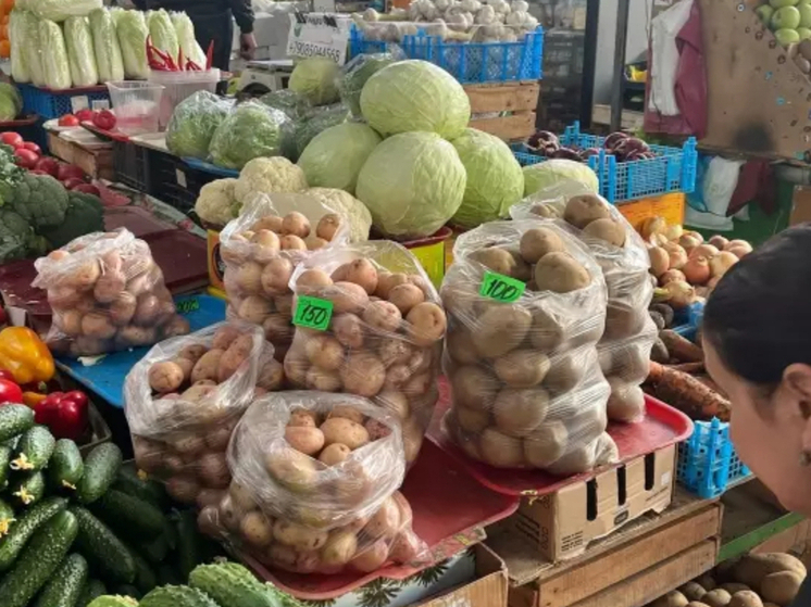 В Ростовской области вырос урожай картофеля на 7,5%