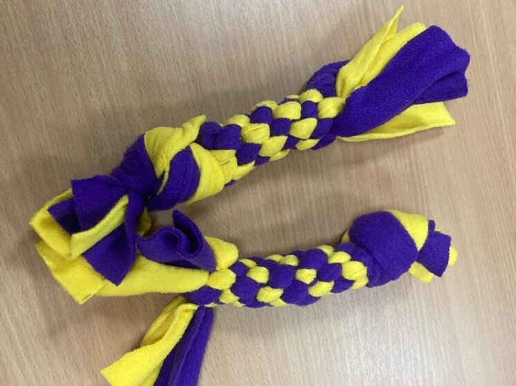 Лапы помощи: бесплатный мастер-класс по созданию игрушек для собак в помощь приюту «Шанс»