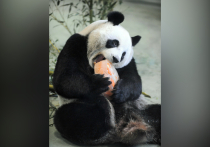 Мы ежедневно чему-то удивляемся