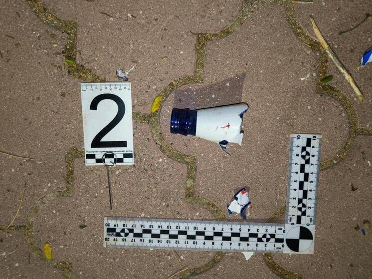 Четверо жителей Евпатории пойдут под суд за нападение на полицейского