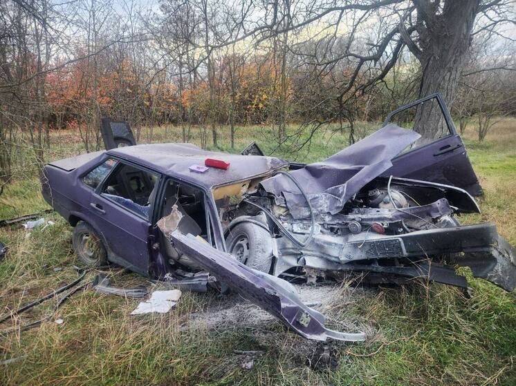 В Советском районе водитель легковушки врезался в дерево и погиб