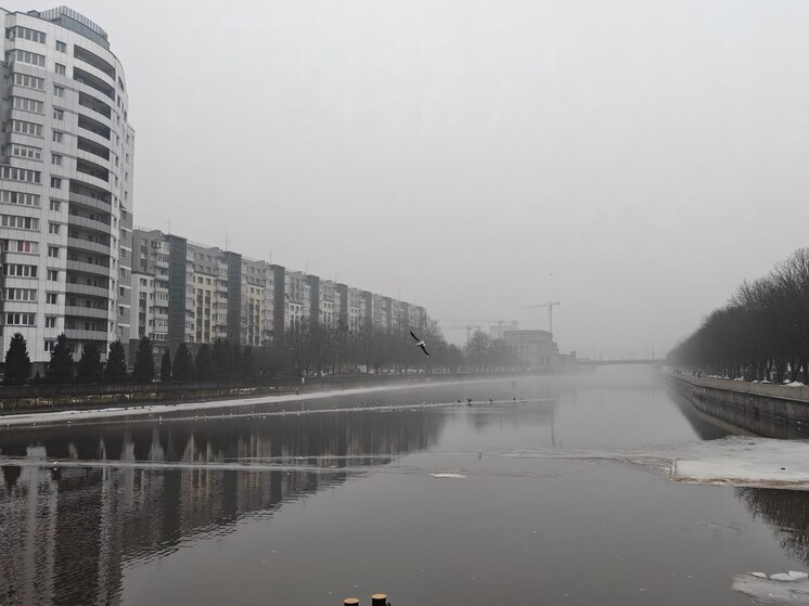 В Калининградской области обсудили правопорядок и сообщили о сотнях нарушений