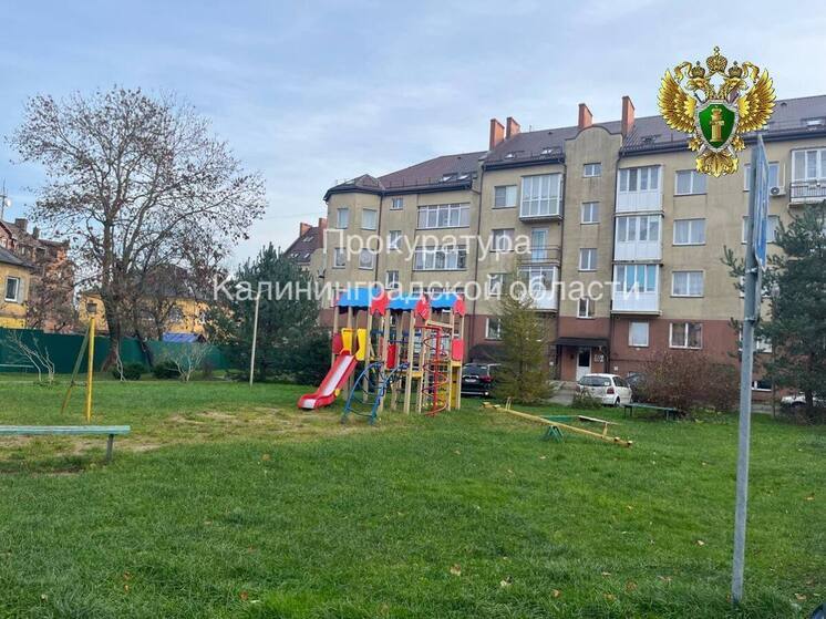 Светлогорская прокуратура потребовала компенсацию для покусанного ребенка