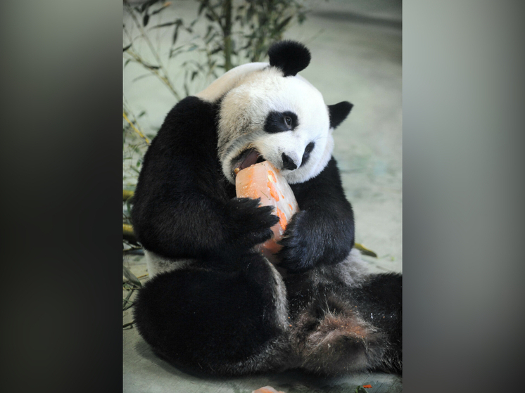 Капельки минувшей недели: 17 ноября – 23 ноября 2025-го.  Часть II