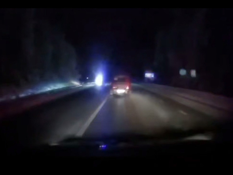 В Ленобласти лихач на «Ладе» устроил ночную погоню с полицией