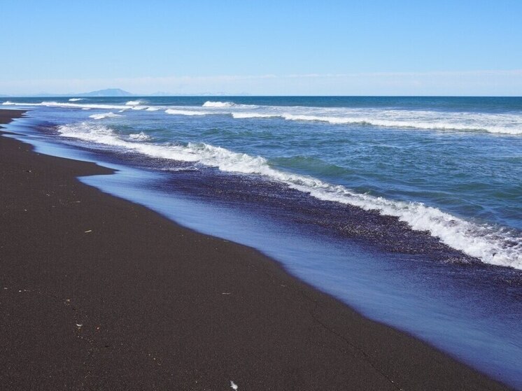 Южноафриканские пляжники повстречались с гигантской ядовитой черной мамбой