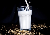 Первые испытания нового вида овсяного молока завершили на днях химики Уральского федерального университета (Екатеринбург)