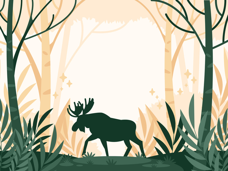 С брезентом и ружьём: в Тамбовской области задержаны браконьеры