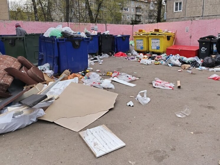Прокуратура заставила вывезти свалку на Московском проспекте в Калининграде