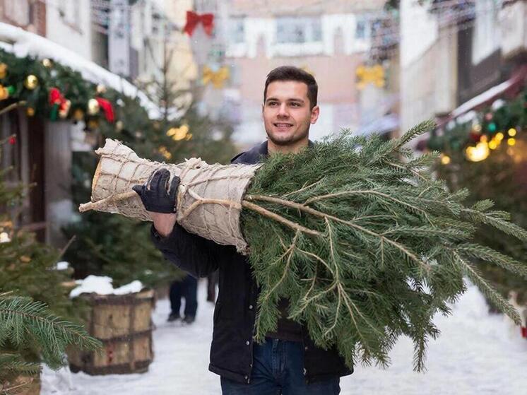 Зеленая красавица ждет: елочные базары в Пскове откроются с 15 декабря