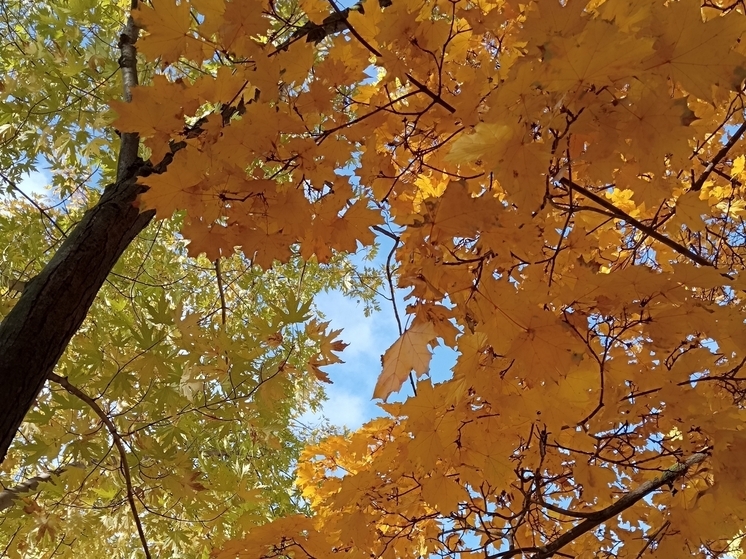 Сила магнитной бури 25 ноября составит 5 баллов: нежелательно начинать новые дела