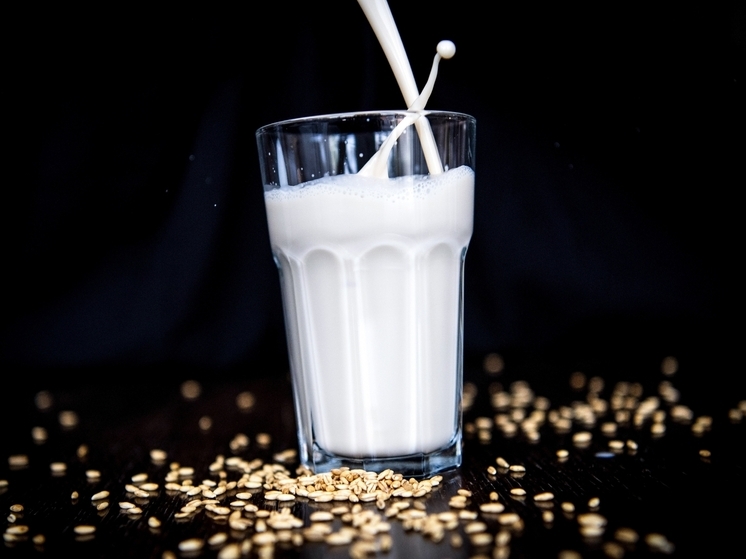 Первые испытания нового вида овсяного молока завершили на днях химики Уральского федерального университета (Екатеринбург)