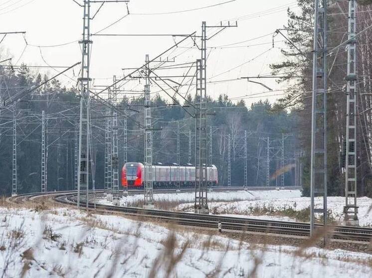 В Ярославской области из-за обледенелых проводов пришлось остановить «Ласточку»