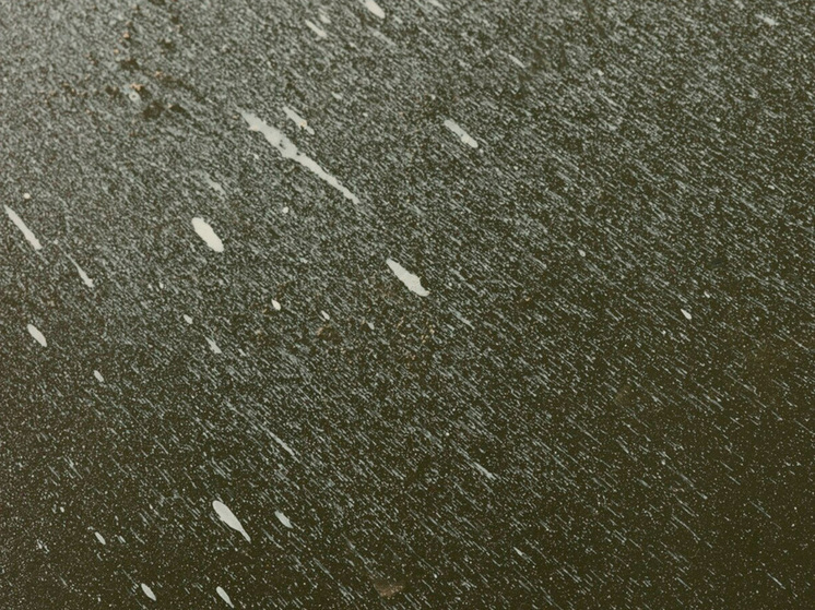 25 ноября обещает липчанам дождь и мокрый снег