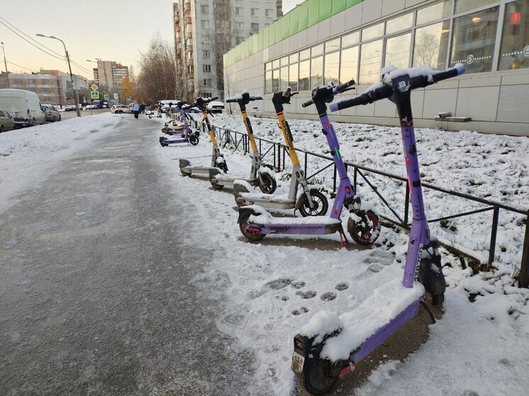 Петербуржцы смогут взять электросамокат напрокат только через «Госуслуги»