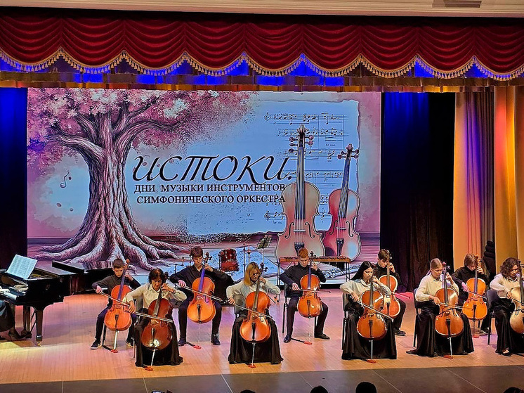 Липецкая область отметила успех проекта «Истоки. Дни музыки инструментов симфонического оркестра»