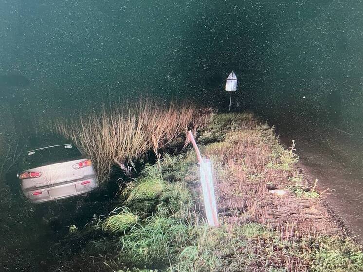 Костромские ДТП: пьяная автоледи Мицубиси не водитель