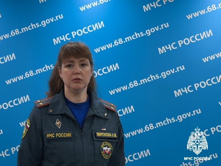 Отчет МЧС о происшествиях в Тамбовской области за неделю