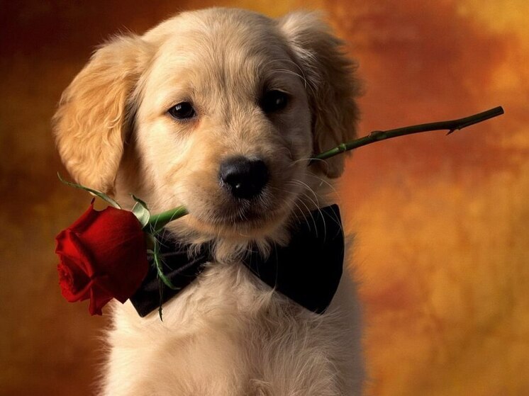 Дни рождения 25 ноября